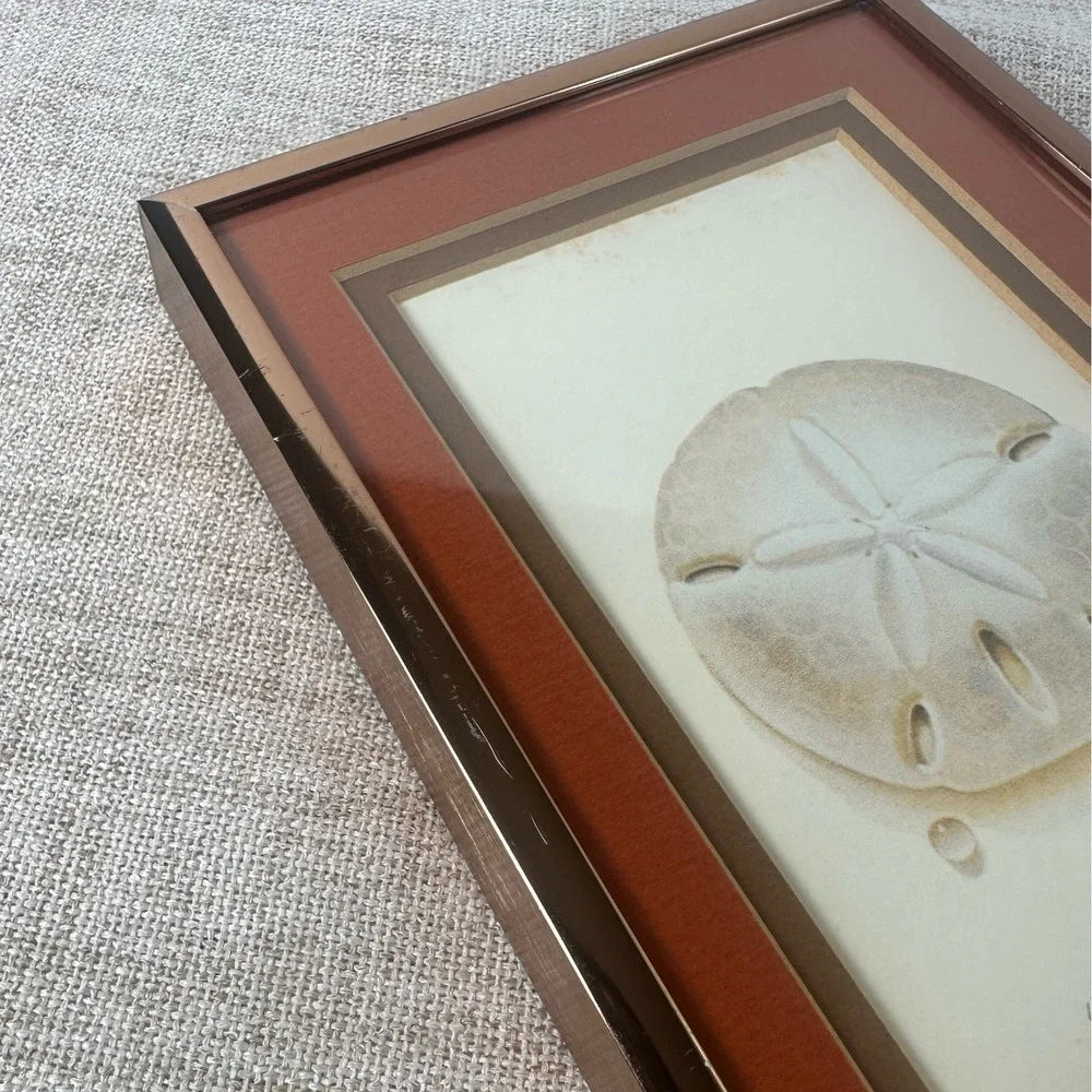 Vintage Framed Sand Dollar Signed Numbered Print Echinarachnius Parma Coastal